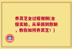 养灵芝全过程视频(全程实拍，从采摘到熬制，教你如何养灵芝！)