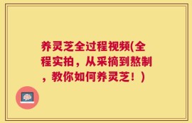 养灵芝全过程视频(全程实拍，从采摘到熬制，教你如何养灵芝！)