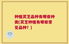 种植灵芝品种有哪些种类(灵芝种植有哪些常见品种？)