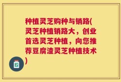 种植灵芝购种与销路(灵芝种植销路大，创业首选灵芝种植，向您推荐豆腐渣灵芝种植技术)