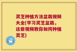 灵芝种植方法盆栽视频大全(学习灵芝盆栽，这些视频教你如何种植灵芝)