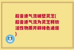 超音速气流破壁灵芝(超音速气流为灵芝释放活性物质开辟绿色通道)