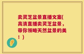 卖灵芝盆景直播文案(高清直播卖灵芝盆景，带你领略天然盆景的美！)