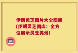 伊朗灵芝图片大全图库(伊朗灵芝图库：全方位展示灵芝美景)