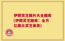 伊朗灵芝图片大全图库(伊朗灵芝图库：全方位展示灵芝美景)