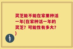 灵芝能不能在家里种活一年(在家种活一年的灵芝？可能性有多大？)
