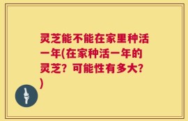 灵芝能不能在家里种活一年(在家种活一年的灵芝？可能性有多大？)