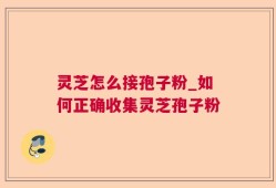 灵芝怎么接孢子粉_如何正确收集灵芝孢子粉