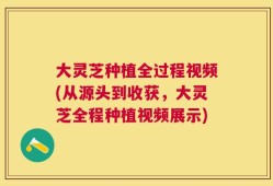 大灵芝种植全过程视频(从源头到收获，大灵芝全程种植视频展示)