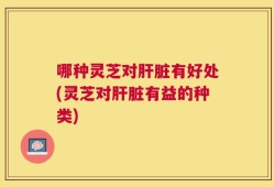 哪种灵芝对肝脏有好处(灵芝对肝脏有益的种类)