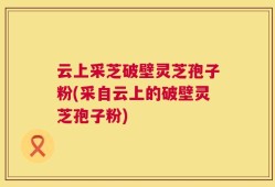 云上采芝破壁灵芝孢子粉(采自云上的破壁灵芝孢子粉)