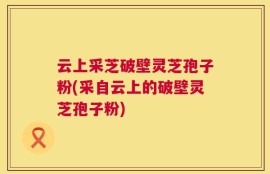 云上采芝破壁灵芝孢子粉(采自云上的破壁灵芝孢子粉)