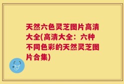天然六色灵芝图片高清大全(高清大全：六种不同色彩的天然灵芝图片合集)