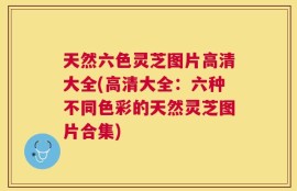 天然六色灵芝图片高清大全(高清大全：六种不同色彩的天然灵芝图片合集)