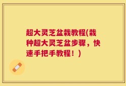 超大灵芝盆栽教程(栽种超大灵芝盆步骤，快速手把手教程！)