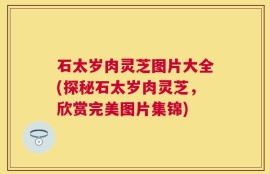 石太岁肉灵芝图片大全(探秘石太岁肉灵芝，欣赏完美图片集锦)
