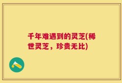 千年难遇到的灵芝(稀世灵芝，珍贵无比)