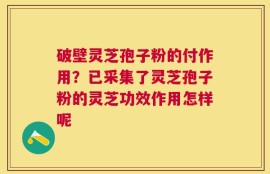 破壁灵芝孢子粉的付作用？已采集了灵芝孢子粉的灵芝功效作用怎样呢