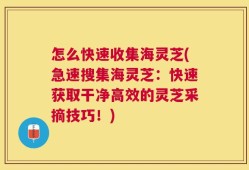 怎么快速收集海灵芝(急速搜集海灵芝：快速获取干净高效的灵芝采摘技巧！)