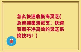 怎么快速收集海灵芝(急速搜集海灵芝：快速获取干净高效的灵芝采摘技巧！)
