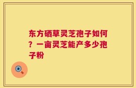 东方硒草灵芝孢子如何？一亩灵芝能产多少孢子粉