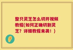 整只灵芝怎么切开视频教程(如何正确切割灵芝？详细教程来袭！)