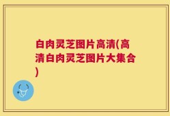 白肉灵芝图片高清(高清白肉灵芝图片大集合)