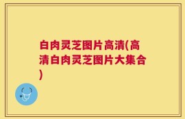 白肉灵芝图片高清(高清白肉灵芝图片大集合)