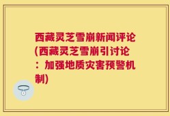 西藏灵芝雪崩新闻评论(西藏灵芝雪崩引讨论：加强地质灾害预警机制)