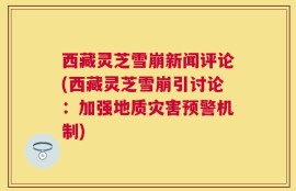 西藏灵芝雪崩新闻评论(西藏灵芝雪崩引讨论：加强地质灾害预警机制)