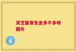 灵芝蟹寄生虫多不多呀图片