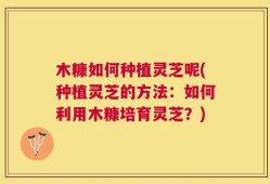 木糠如何种植灵芝呢(种植灵芝的方法：如何利用木糠培育灵芝？)