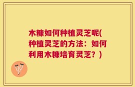 木糠如何种植灵芝呢(种植灵芝的方法：如何利用木糠培育灵芝？)