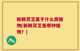 新鲜灵芝属于什么类植物(新鲜灵芝是哪种植物？)