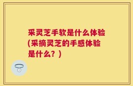采灵芝手软是什么体验(采摘灵芝的手感体验是什么？)