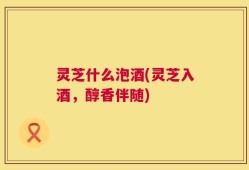 灵芝什么泡酒(灵芝入酒，醇香伴随)
