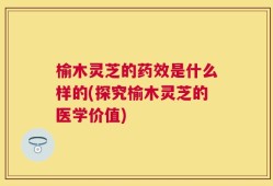 榆木灵芝的药效是什么样的(探究榆木灵芝的医学价值)