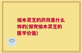 榆木灵芝的药效是什么样的(探究榆木灵芝的医学价值)