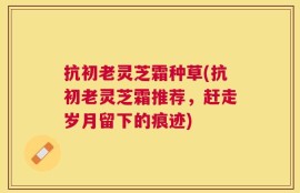 抗初老灵芝霜种草(抗初老灵芝霜推荐，赶走岁月留下的痕迹)