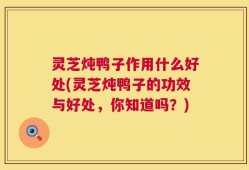 灵芝炖鸭子作用什么好处(灵芝炖鸭子的功效与好处，你知道吗？)
