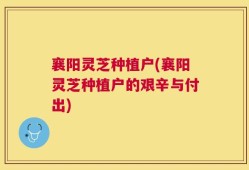襄阳灵芝种植户(襄阳灵芝种植户的艰辛与付出)