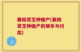 襄阳灵芝种植户(襄阳灵芝种植户的艰辛与付出)
