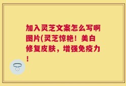 加入灵芝文案怎么写啊图片(灵芝惊艳！美白修复皮肤，增强免疫力！