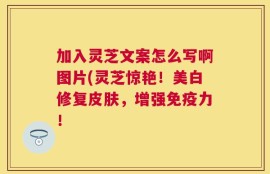 加入灵芝文案怎么写啊图片(灵芝惊艳！美白修复皮肤，增强免疫力！
