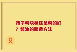 孢子粉块状还是粉的好？酱油的酿造方法
