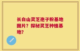 长白山灵芝孢子粉基地图片？探秘灵芝种植基地？