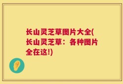 长山灵芝草图片大全(长山灵芝草：各种图片全在这!)