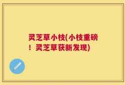 灵芝草小枝(小枝重磅！灵芝草获新发现)