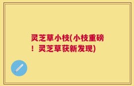 灵芝草小枝(小枝重磅！灵芝草获新发现)