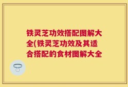 铁灵芝功效搭配图解大全(铁灵芝功效及其适合搭配的食材图解大全